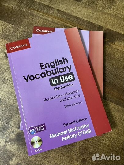 English vocabulary in use