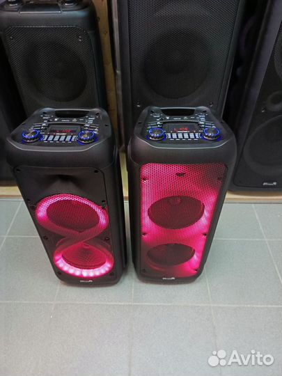 Колонка eltronic 20-58 и 20-59 500Ватт, 2-микр