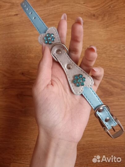 Амуниция для собак/кошек