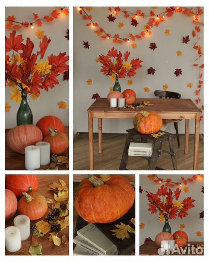 Аренда фотостудии