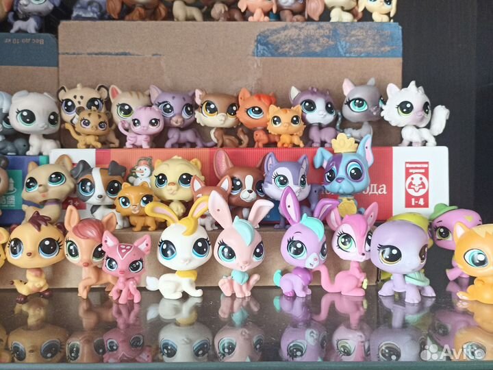 Littlest pet shop