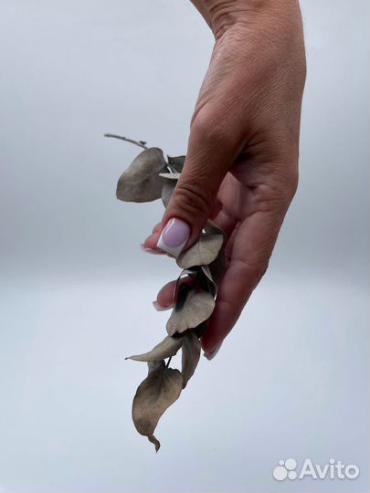 Курсы маникюра обучение с нуля