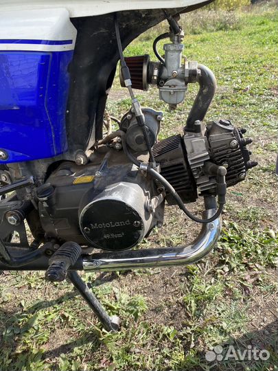 Motoland Alpha RX 49,9(110)