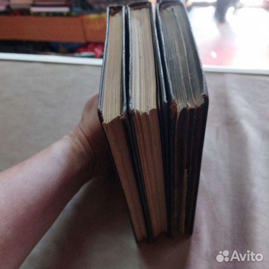 Царские книги История живописи