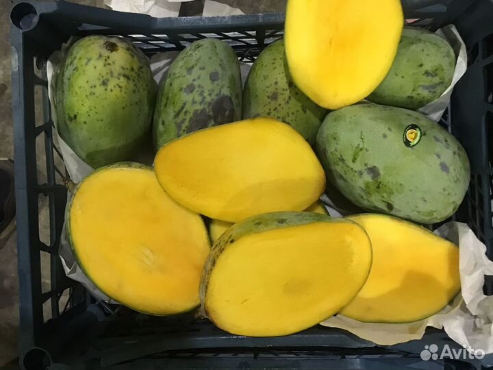 Манго Египет 2 сорт