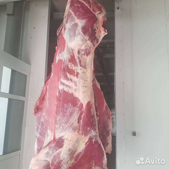 Мясо Говядина и Баранина ''Халяль''