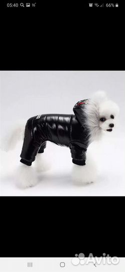 Зимний комбез