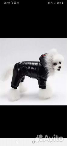 Зимний комбез