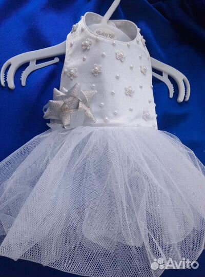 Одежда для маленьких собачек