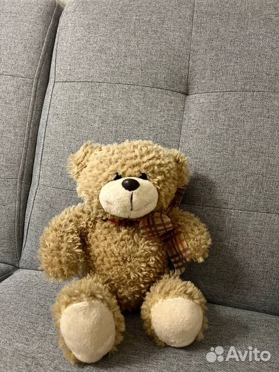 Плюшевый медведь
