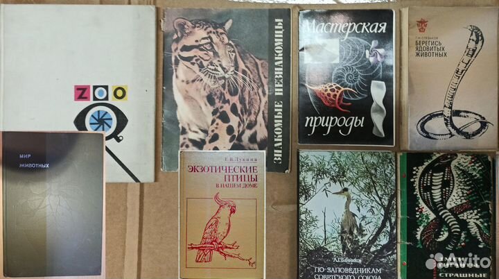 Рассказы о животных