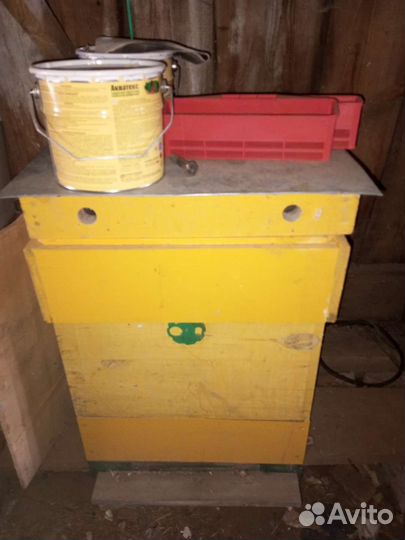 Пчелы бакфаст, улья