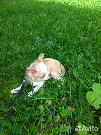 Нежный малыш