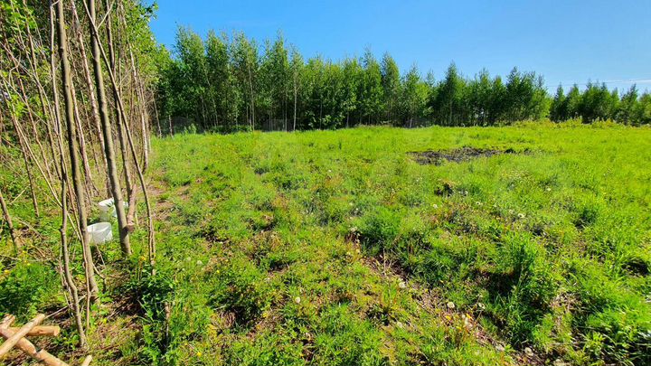 Участок 14,4 сот. (ИЖС)