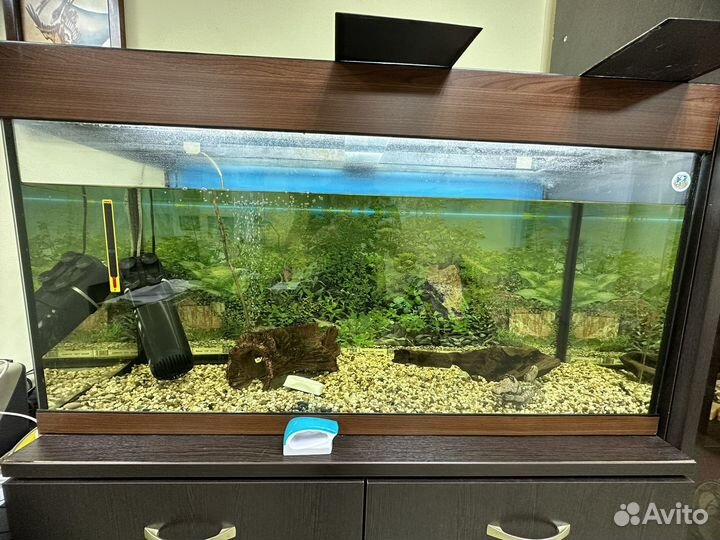 Аквариум 200 литров