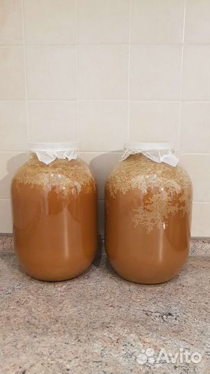 Мёд разнотравье, урожай 2022