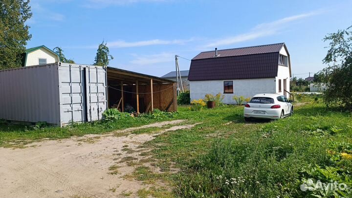 Коты, Рыжий и Мелкий