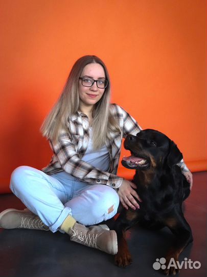 Кинолог, дрессировка