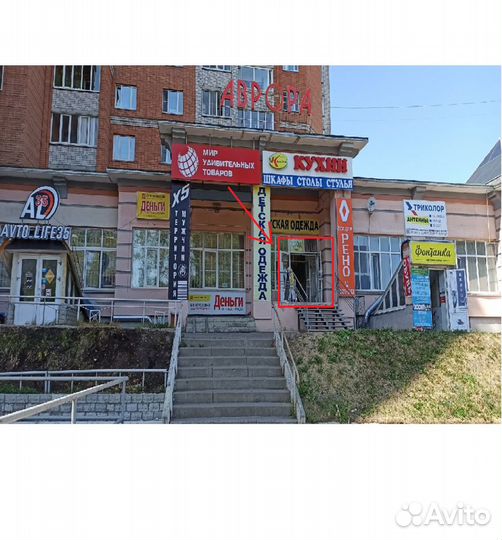 Танцующий кактус