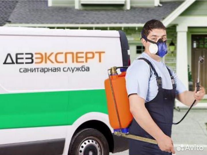 Служба №1 по борьбе с вредителями / г. Бор + Район