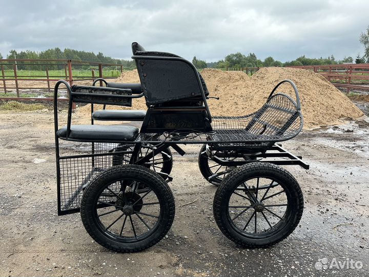 Драйвинг экипаж для лошади