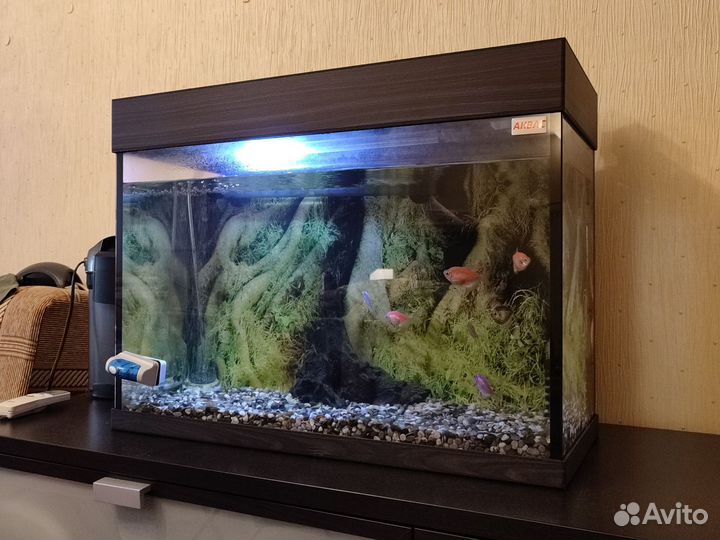 Аквариум с рыбками