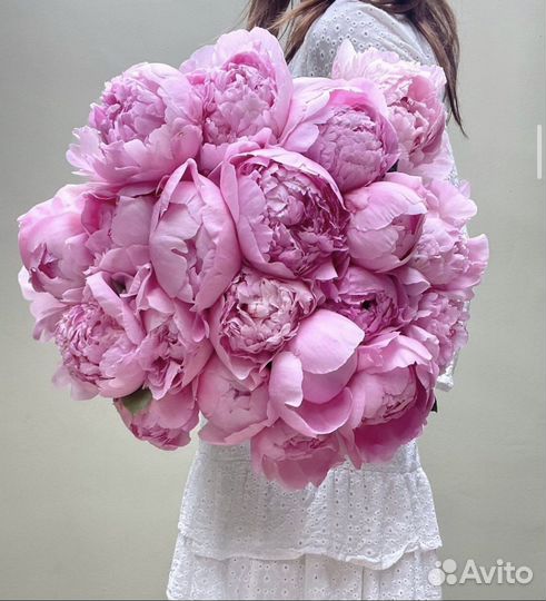 Букеты из Пионов Цветы с доставкой 24/7