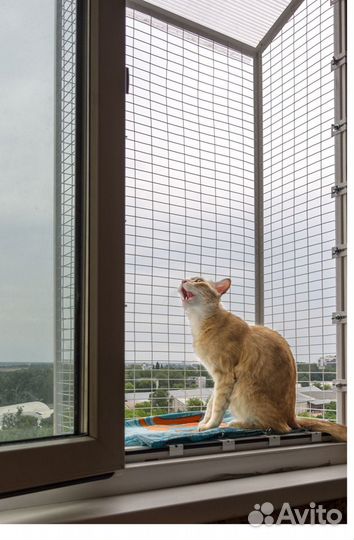 Балкончик для выгула кошки