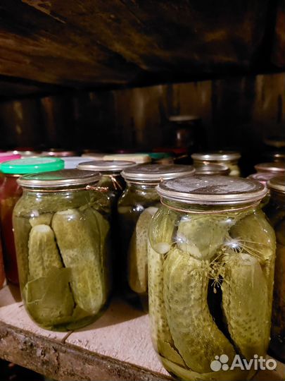 Домашняя консервация. Грибы, помидоры, огурцы