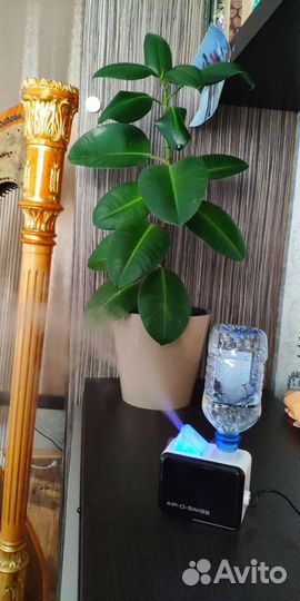 Увлажнитель воздуха air o swiss u7146