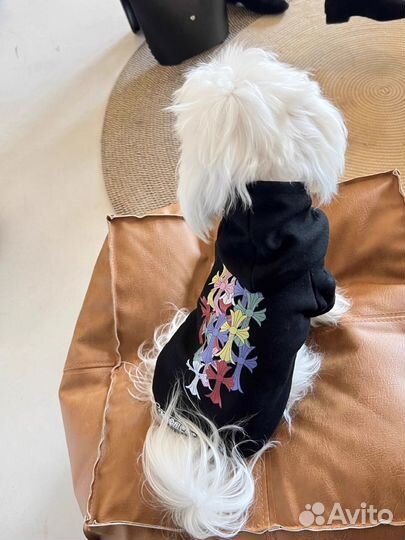 Толстовка для собак мелких и средних пород