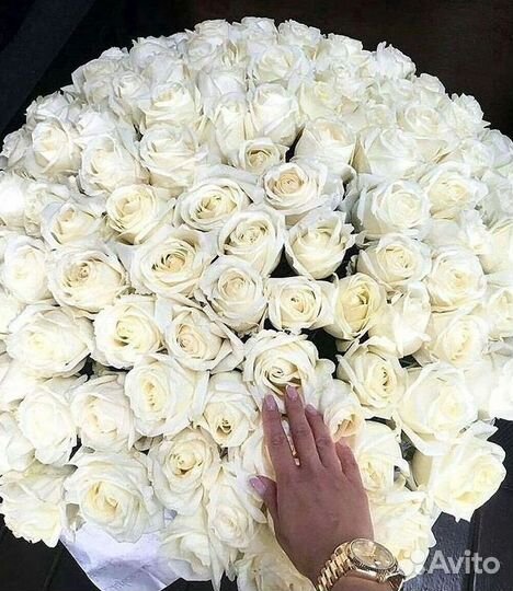 101 Роза Цветы Букеты 51 25 Роз Доставка