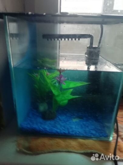 Аквариум с грунтом и фильтром
