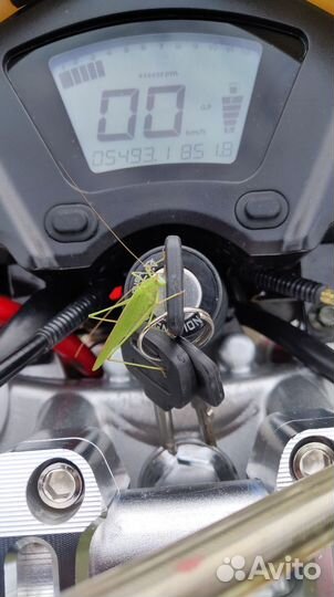 Motoland XR 250 Enduro