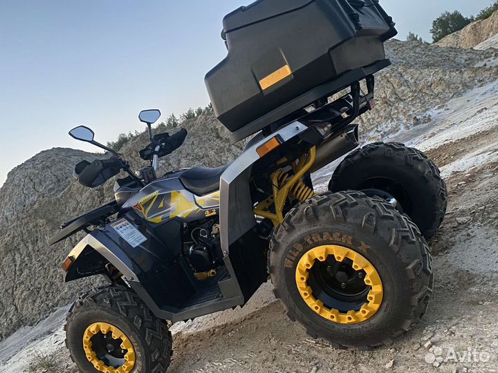 Квадроцикл wild 200