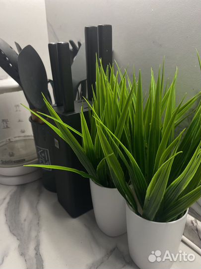 Осока искуственная