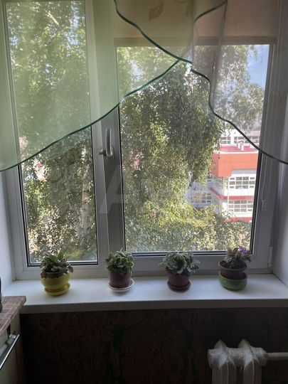 3-к. квартира, 55,2 м², 4/5 эт.