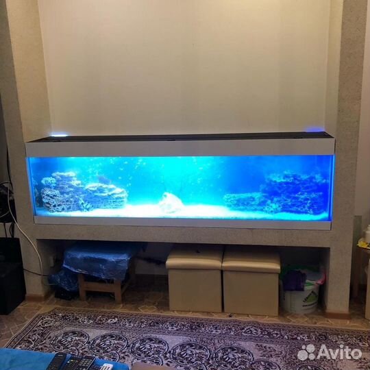 Аквариумы, Пруды обслуживание