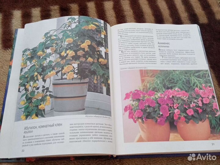 Книга Мини - энциклопедия Комнатные растения