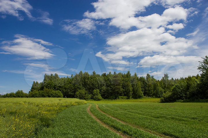 Участок 11 га (СНТ, ДНП)