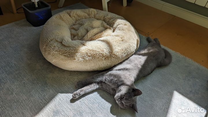 Лежанка для кота/собачки