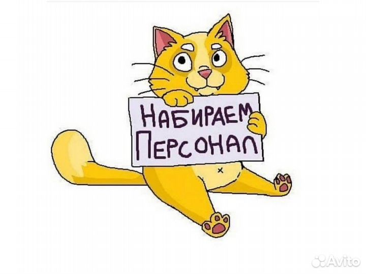 Работа Официант Беспл.Жилье +Питание Отл.Условия