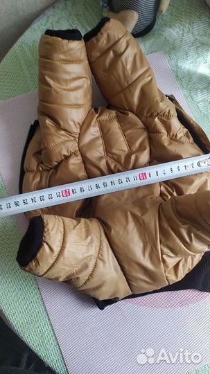 Одежда для маленькой собачки