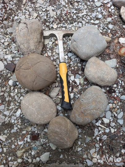 Сырье оптом, камень септария