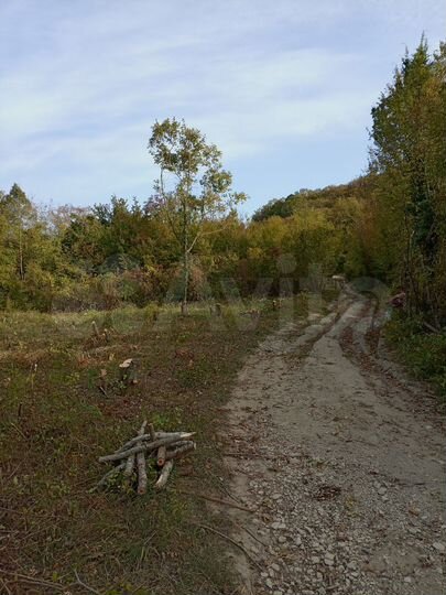 Участок 4 сот. (СНТ, ДНП)