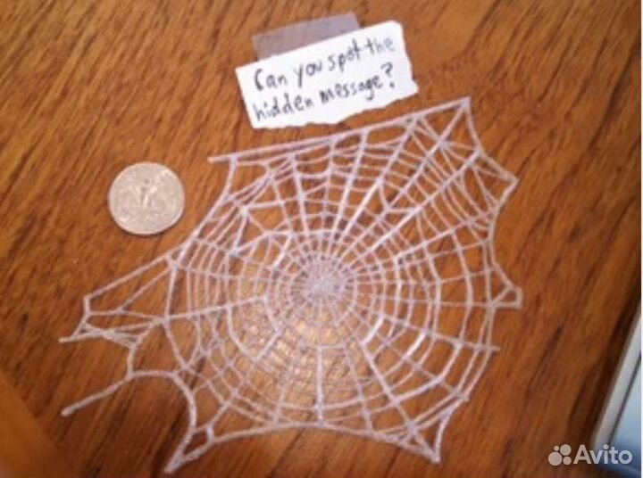 Паук и паутина