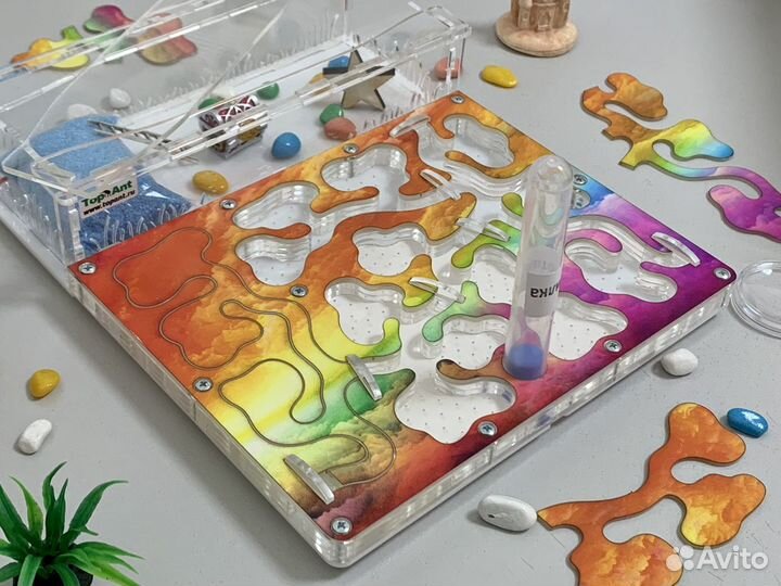 Муравьиная ферма с автоувлажнением и гипсом