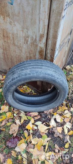 Nokian Tyres Nordman SX2 205/55 R16