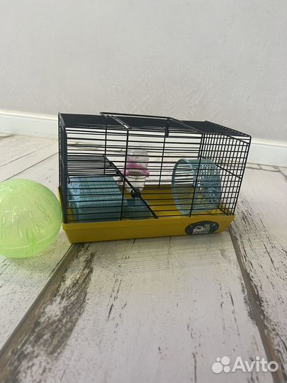 Клетка для хомяков