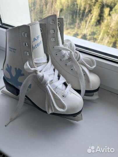 Коньки для фигурного катания 31 Graf Montana